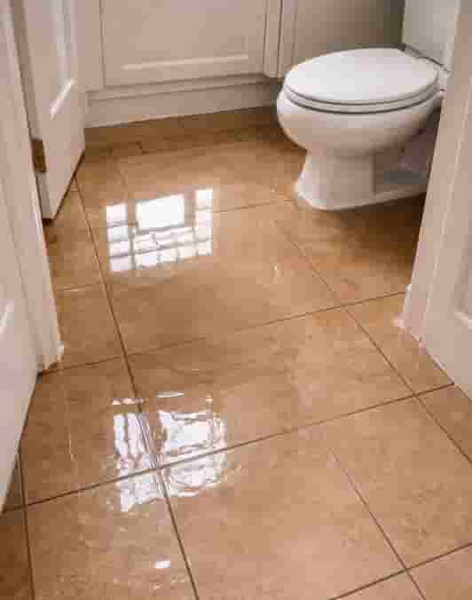 Sewage overflowing in gilbert toilet