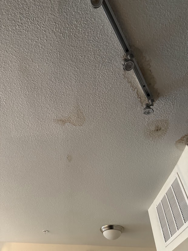 ceiling water damage