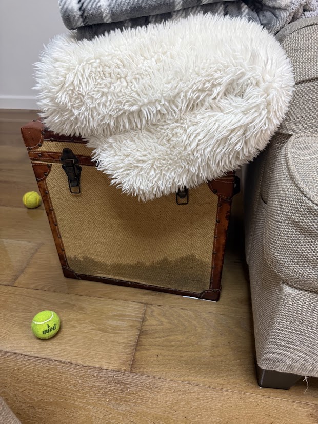 flooring-water-damage-scottsdale