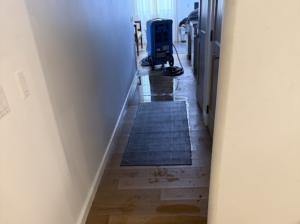 contents-restoration-projects