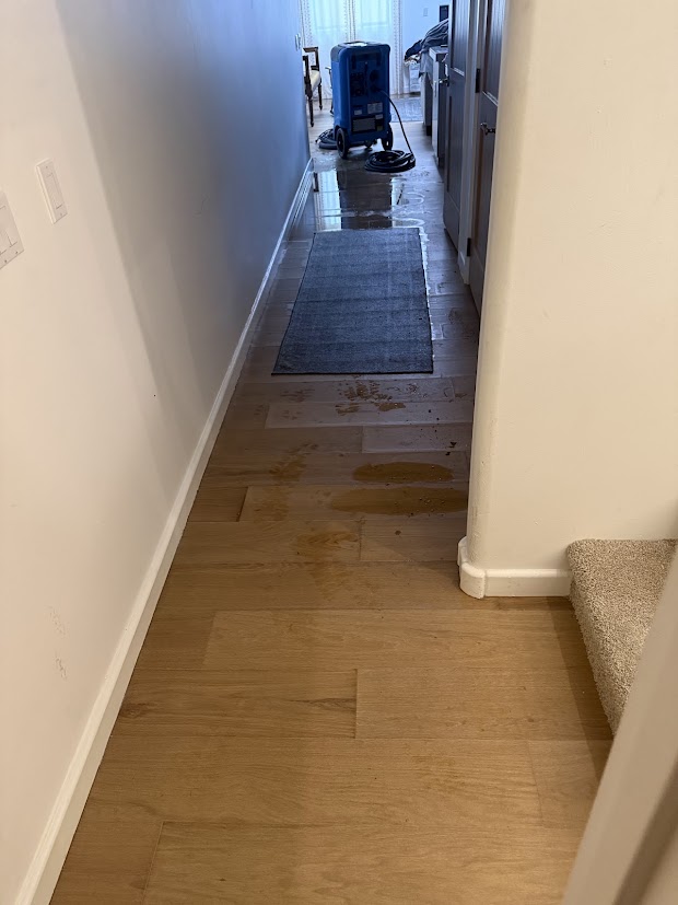 hardwood floor water damage