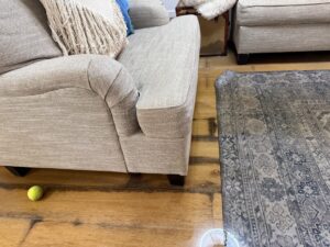 water-damage-near-hayden-estates-scottsdale