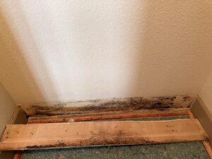 water-damaged-house-queen-creek