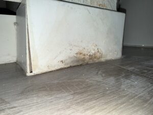 water-damage-extraction-gilbert