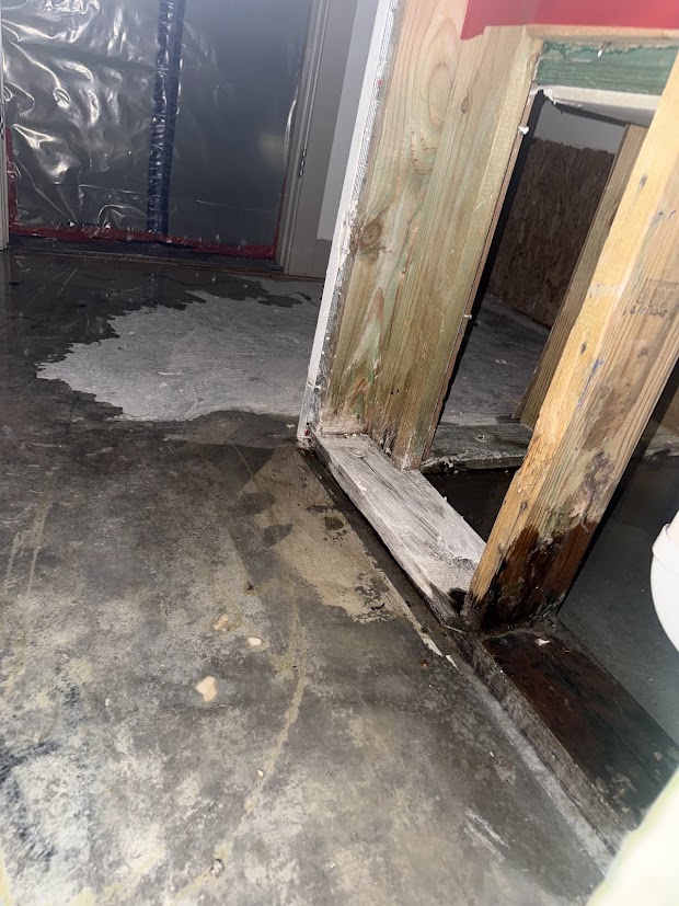 biohazard cleanup in gilbert